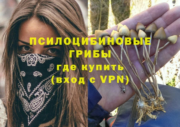 герыч Волоколамск