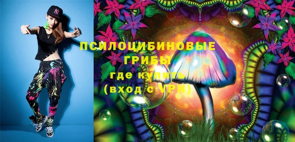 прущие грибы Россошь