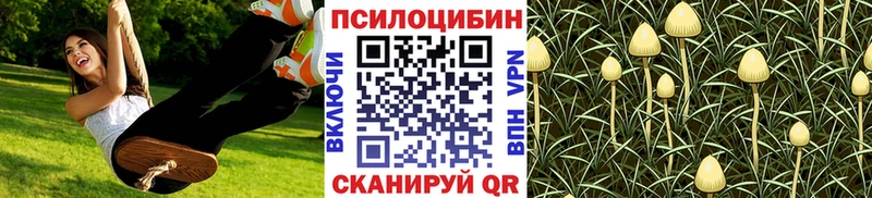 Галлюциногенные грибы мухоморы  Пестово 