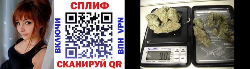 где найти   Пестово  Каннабис конопля 